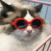 HKM-2978749 Multi-Color Round Frame Sunglasses for Dogs and Cats - UV380 Protection
