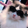 HKM-2978749 Multi-Color Round Frame Sunglasses for Dogs and Cats - UV380 Protection
