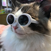 HKM-2978749 Multi-Color Round Frame Sunglasses for Dogs and Cats - UV380 Protection