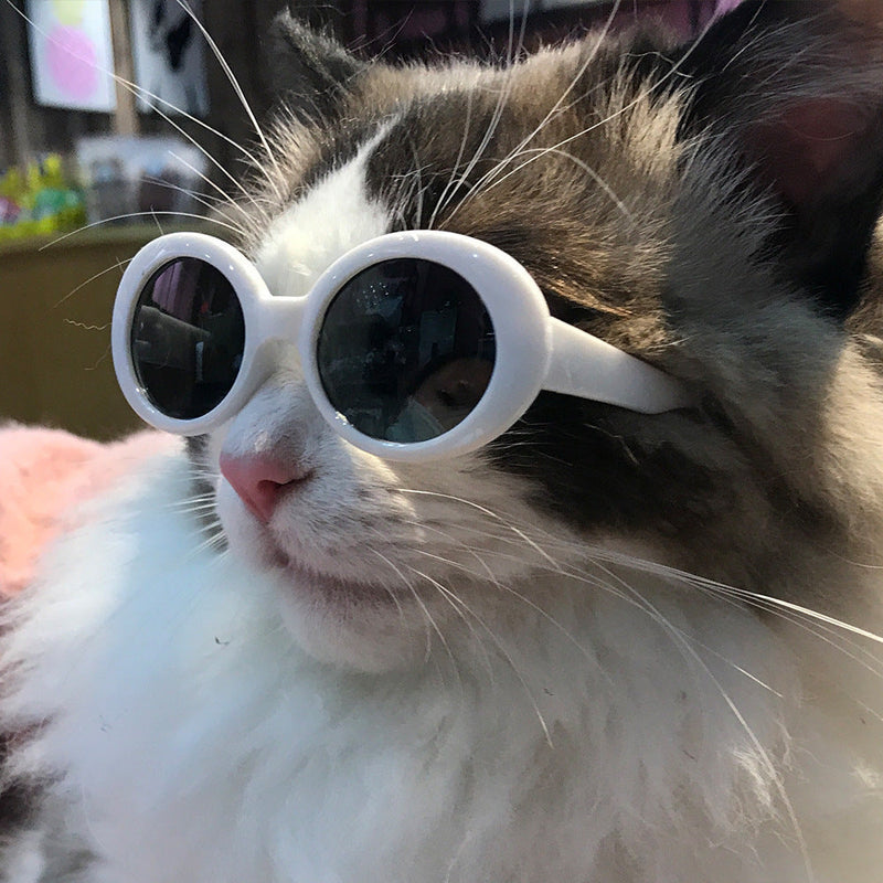 HKM-2978749 Multi-Color Round Frame Sunglasses for Dogs and Cats - UV380 Protection