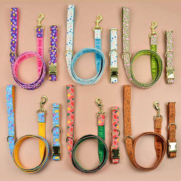 HKM-2980925 Double-sided Pet Collar with Haulage Rope in Various Fun Colors for Dogs and Cats