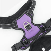 HKM-2981949 Large Multi-Color Nylon Dog Harness with Handheld Rope for Commuting