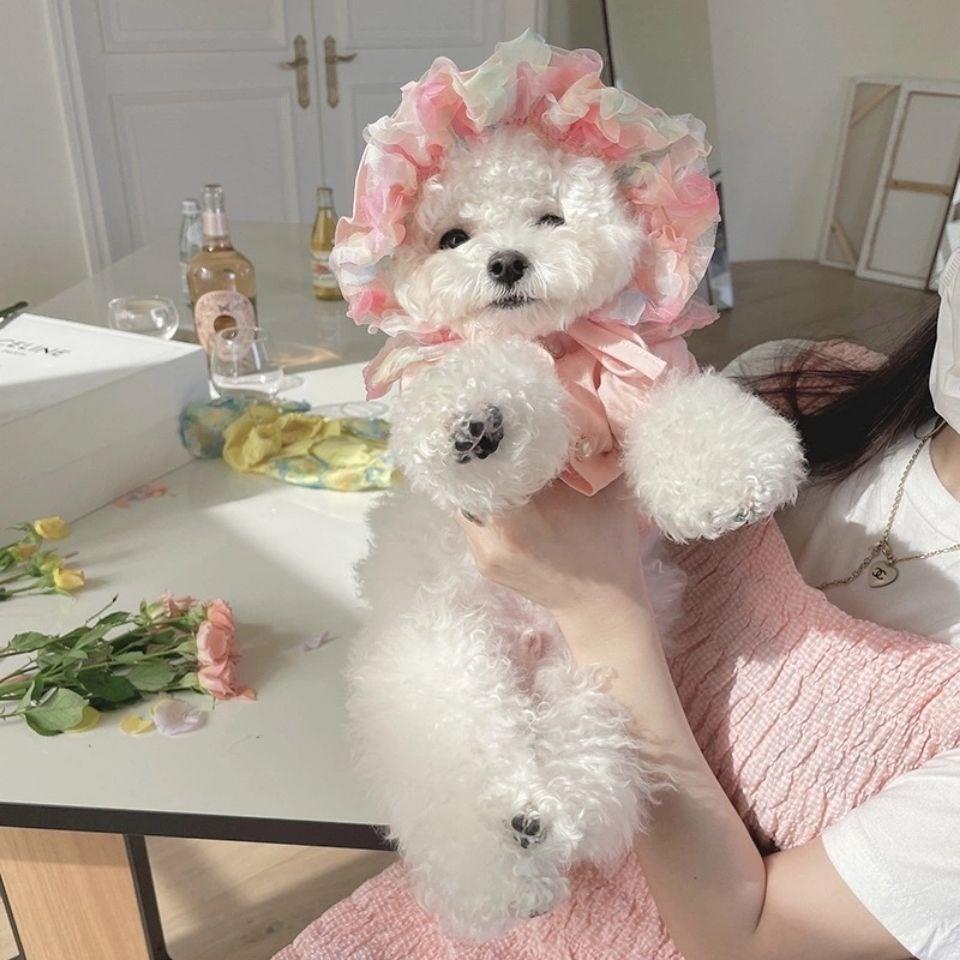 HKM-2983485 Lemon Yellow, Light Shrimp Powder & Lavender Mesh Dog Skirt with Matching Hat