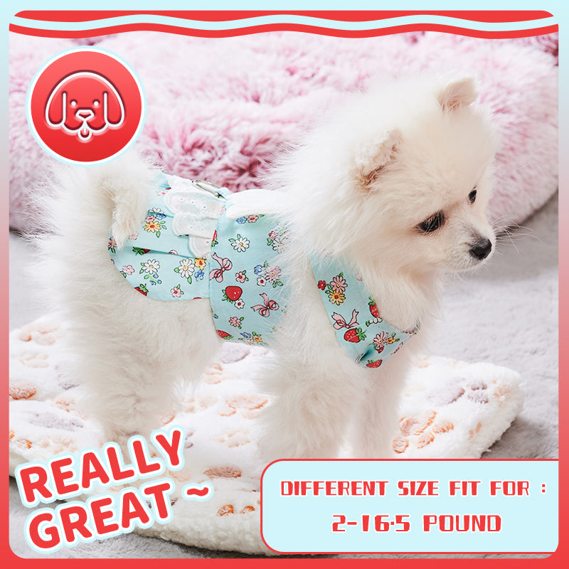 HKM-2984381 Charming Dog Harness Dress with Leash Set for Small Breeds, Featuring Angel Wings Design