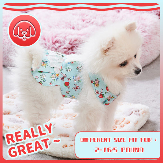 HKM-2984381 Charming Dog Harness Dress with Leash Set for Small Breeds, Featuring Angel Wings Design