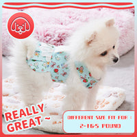 HKM-2984381 Charming Dog Harness Dress with Leash Set for Small Breeds, Featuring Angel Wings Design