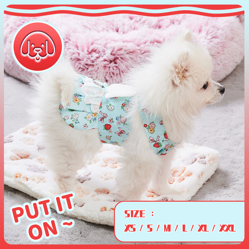 HKM-2984381 Charming Dog Harness Dress with Leash Set for Small Breeds, Featuring Angel Wings Design
