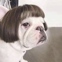 HKM-2984509 Pet Cosplay Wig Tool – Polyester, Free Size for All Dog Breeds, 45g Weight