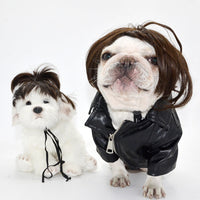 HKM-2984509 Pet Cosplay Wig Tool – Polyester, Free Size for All Dog Breeds, 45g Weight
