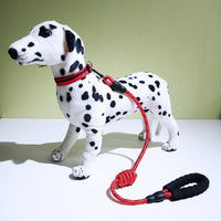 HKM-2986685 Reflective Dog Collar with Decorative Necklace and Leash Set