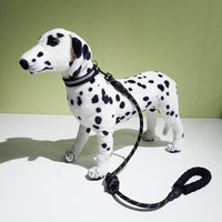 HKM-2986685 Reflective Dog Collar with Decorative Necklace and Leash Set