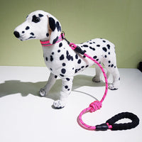 HKM-2986685 Reflective Dog Collar with Decorative Necklace and Leash Set