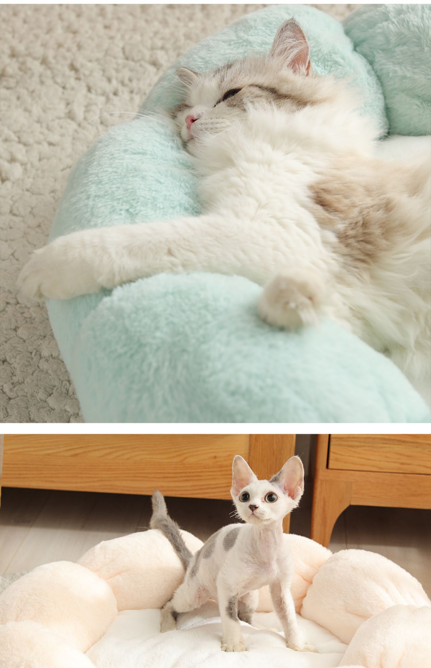 HKM-2986941 Warm Thick Cat Litter with High Resilience Thermal Cotton Filling in Lovely Style