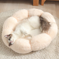 HKM-2986941 Warm Thick Cat Litter with High Resilience Thermal Cotton Filling in Lovely Style