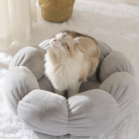 HKM-2986941 Warm Thick Cat Litter with High Resilience Thermal Cotton Filling in Lovely Style
