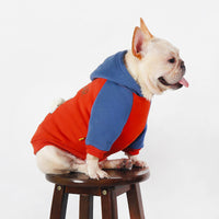 HKM-2987453 Cozy Cotton Coat for Small to Medium Dogs in Red, Perfect for Autumn and Winter