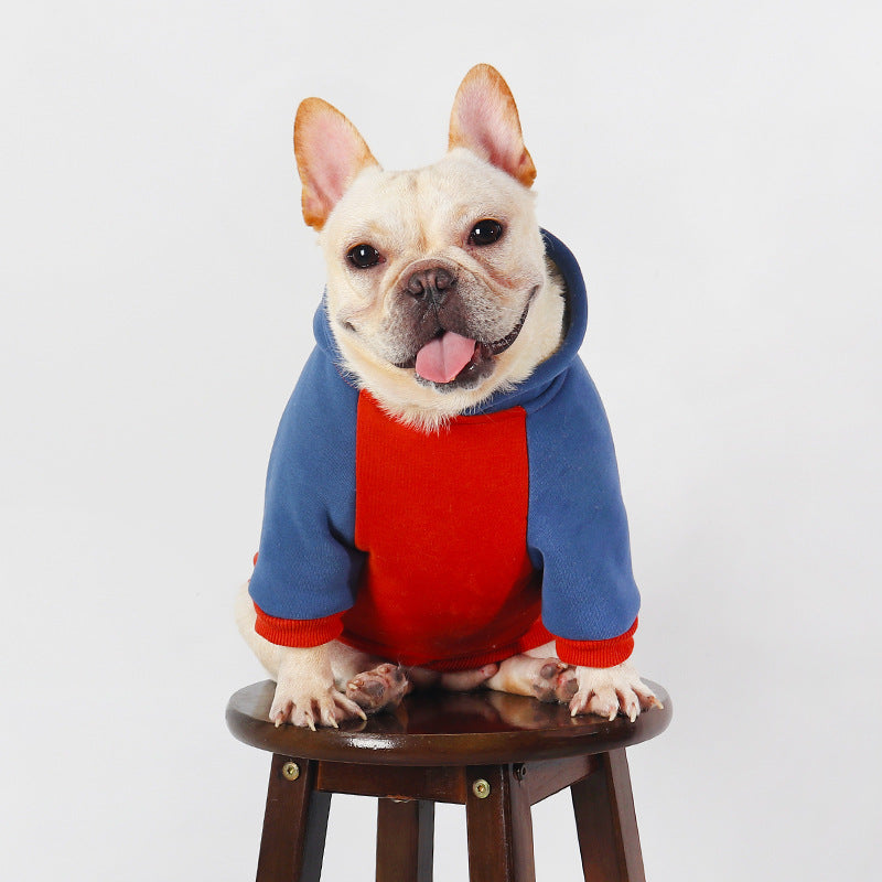 HKM-2987453 Cozy Cotton Coat for Small to Medium Dogs in Red, Perfect for Autumn and Winter