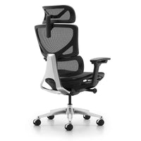 HKM-298771 Ergonomic Revolving Office Chair with Luxury Mesh Design and Simple Swivel Functionality