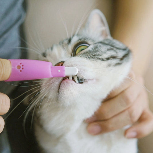 HKM-2988477 Pet Finger Toothbrush for Cats and Dogs - Nylon/Silicone Brush Head in Assorted Colors