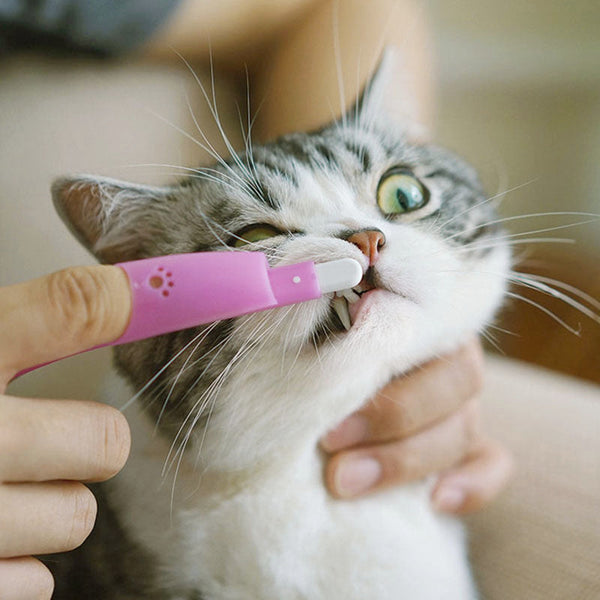 HKM-2988477 Pet Finger Toothbrush for Cats and Dogs - Nylon/Silicone Brush Head in Assorted Colors