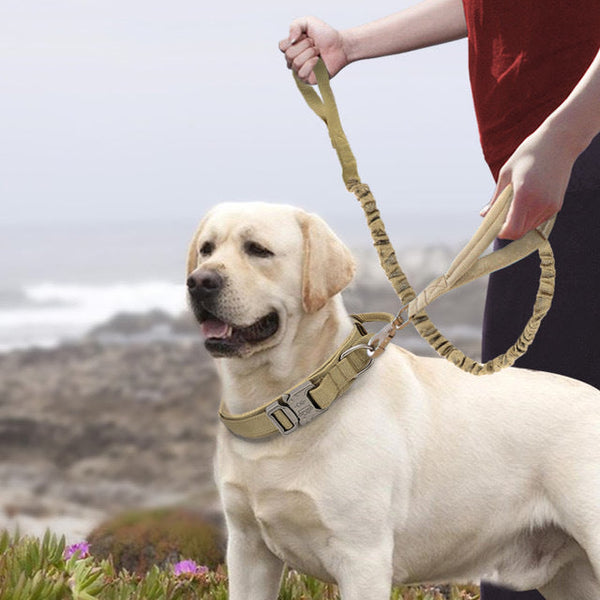 HKM-2994621 Nylon Dog Collars for Medium and Large Dogs in Khaki, Black, and Army Green