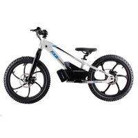 HKM-299731 Electric Bike with 36V Lithium Battery, 400W Motor, 2-Speed Gears, and Disc Brakes, Suitable for City Riding