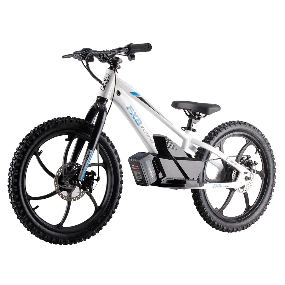 HKM-299731 Electric Bike with 36V Lithium Battery, 400W Motor, 2-Speed Gears, and Disc Brakes, Suitable for City Riding