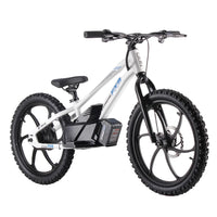 HKM-299731 Electric Bike with 36V Lithium Battery, 400W Motor, 2-Speed Gears, and Disc Brakes, Suitable for City Riding