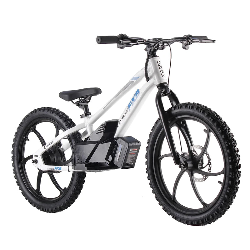 HKM-299731 Electric Bike with 36V Lithium Battery, 400W Motor, 2-Speed Gears, and Disc Brakes, Suitable for City Riding