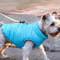 HKM-2998077 Autumn and Winter Full Nylon Zipper Puppy Jacket in Multiple Colors for Dogs