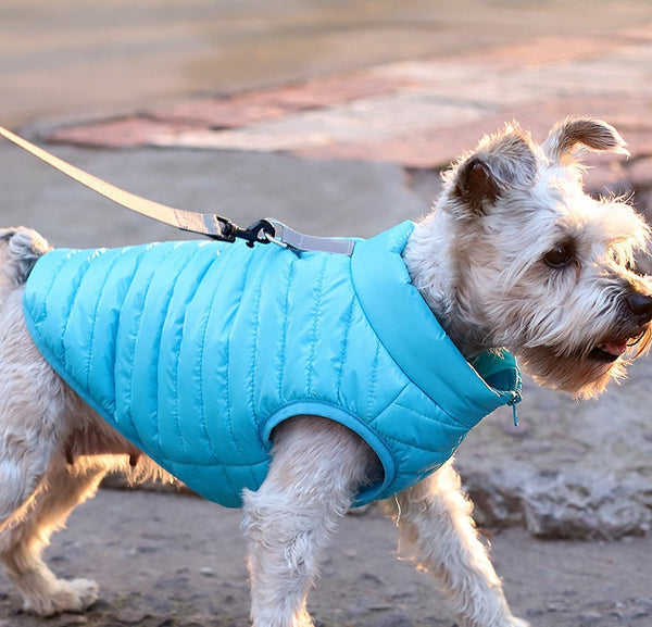 HKM-2998077 Autumn and Winter Full Nylon Zipper Puppy Jacket in Multiple Colors for Dogs