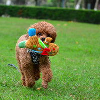 HKM-2999229 Gingerbread Man Plush Dog Toy - Blue & Pink Christmas Sounding Toy (23x20x5cm)