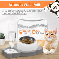 HKM-3001661 Tilted Elevated Stainless Steel Cat and Dog Bowls with Automatic Water Dispenser