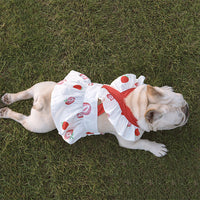 HKM-3002941 Flounce Suspender Skirt in White with Blue Print for Pets