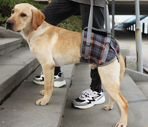 HKM-3003453 Postoperative Rehabilitation Assistive Belt for Dogs - Adjustable Sling for Elderly Pets' Hind Legs