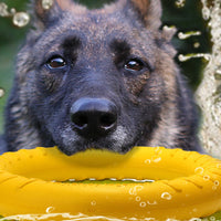 HKM-3004989 Durable EVA Dog Training Pull Ring for Interactive Play and Anxiety Relief