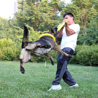 HKM-3004989 Durable EVA Dog Training Pull Ring for Interactive Play and Anxiety Relief