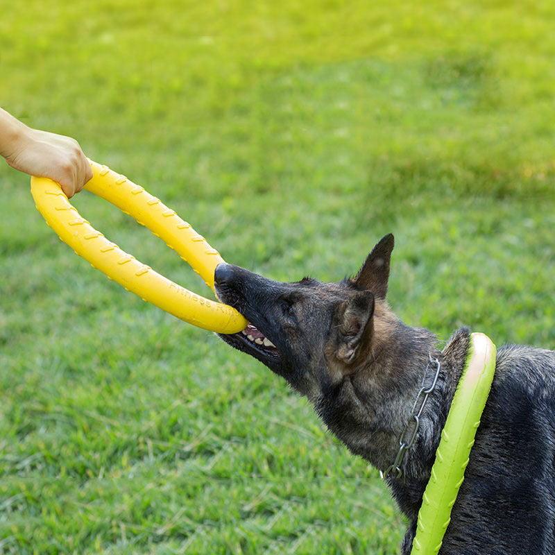 HKM-3004989 Durable EVA Dog Training Pull Ring for Interactive Play and Anxiety Relief