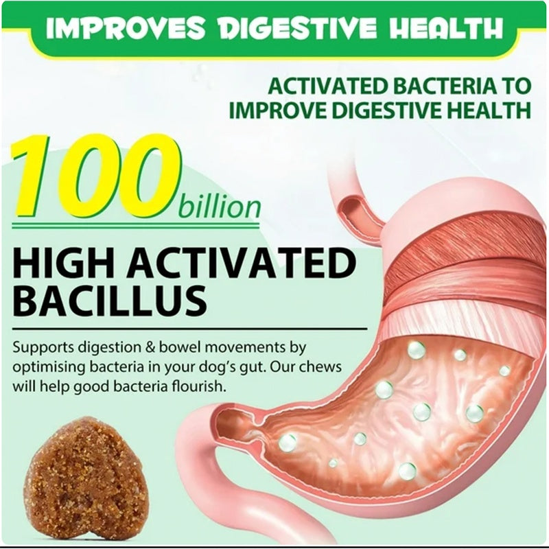 HKM-3009981 Probiotic Chews for Pets - Soft Digestion Support Treats for All Sizes