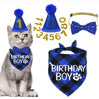 HKM-3010493 Sapphire Blue & Rose Red Cartoon Pet Birthday Hat, Triangle Scarf, Bow Tie Set