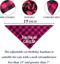 HKM-3010493 Sapphire Blue & Rose Red Cartoon Pet Birthday Hat, Triangle Scarf, Bow Tie Set