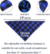 HKM-3010493 Sapphire Blue & Rose Red Cartoon Pet Birthday Hat, Triangle Scarf, Bow Tie Set