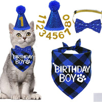 HKM-3010493 Sapphire Blue & Rose Red Cartoon Pet Birthday Hat, Triangle Scarf, Bow Tie Set
