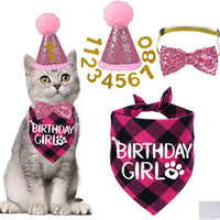 HKM-3010493 Sapphire Blue & Rose Red Cartoon Pet Birthday Hat, Triangle Scarf, Bow Tie Set