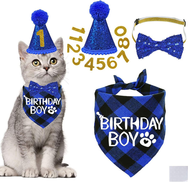 HKM-3010493 Sapphire Blue & Rose Red Cartoon Pet Birthday Hat, Triangle Scarf, Bow Tie Set