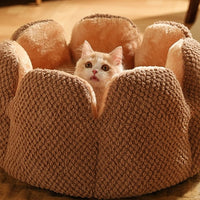 HKM-3013949 Cactus Petal Soft and Cozy Pet Nest in Green, Purple, Grey, and Coffee - Available in Sizes S, M, L