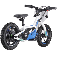 HKM-302035 Kids Electric Bike with 16-Inch Carbon Fibre Wheels and Aluminum Frame