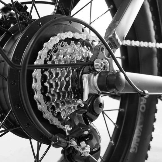 HKM-302163 COSWHEEL Y20L 750W 20in Electric Hybrid Bike with Torque Sensor and Integrated Battery