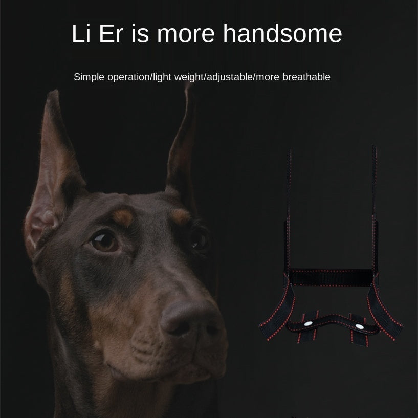 HKM-3024701 Dog Ear Stand - Nylon Ear Correction Artifact for Enhanced Ear Positioning, Available in Multiple Sizes