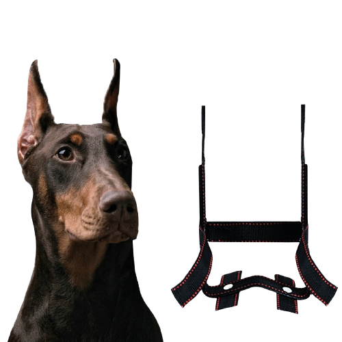HKM-3024701 Dog Ear Stand - Nylon Ear Correction Artifact for Enhanced Ear Positioning, Available in Multiple Sizes